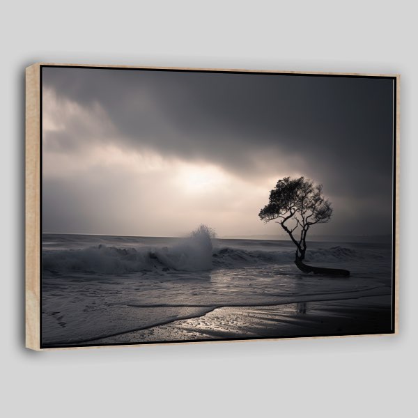 Symphonie Naturelle