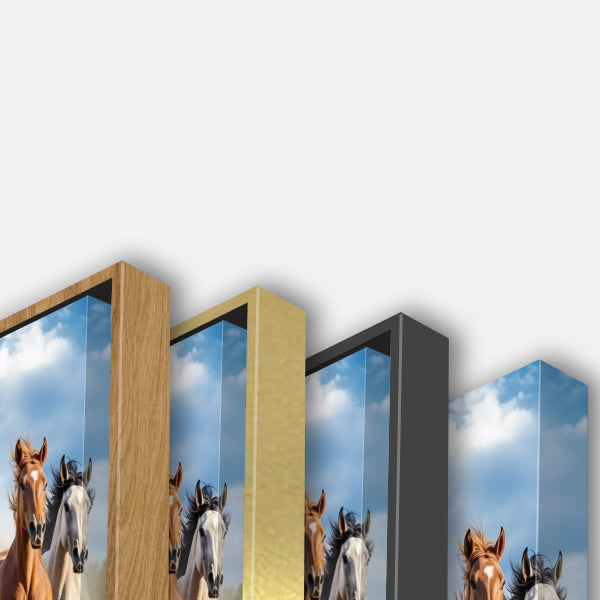 Course élan chevaux
